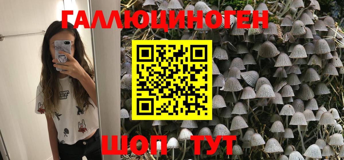 Галлюциногенные грибы GOLDEN TEACHER  Вход с VPN  Кстово 