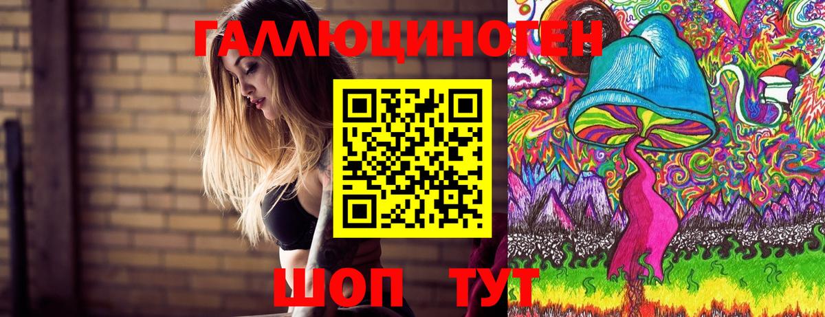 Псилоцибиновые грибы Psilocybe Кстово